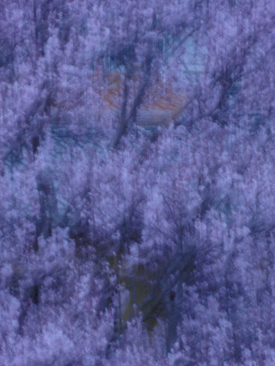 始まり