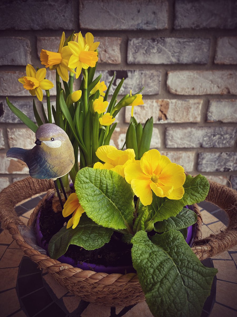 May the warmth of Spring fill our hearts and homes. Wishing you all a peaceful #Easter with your loved ones!