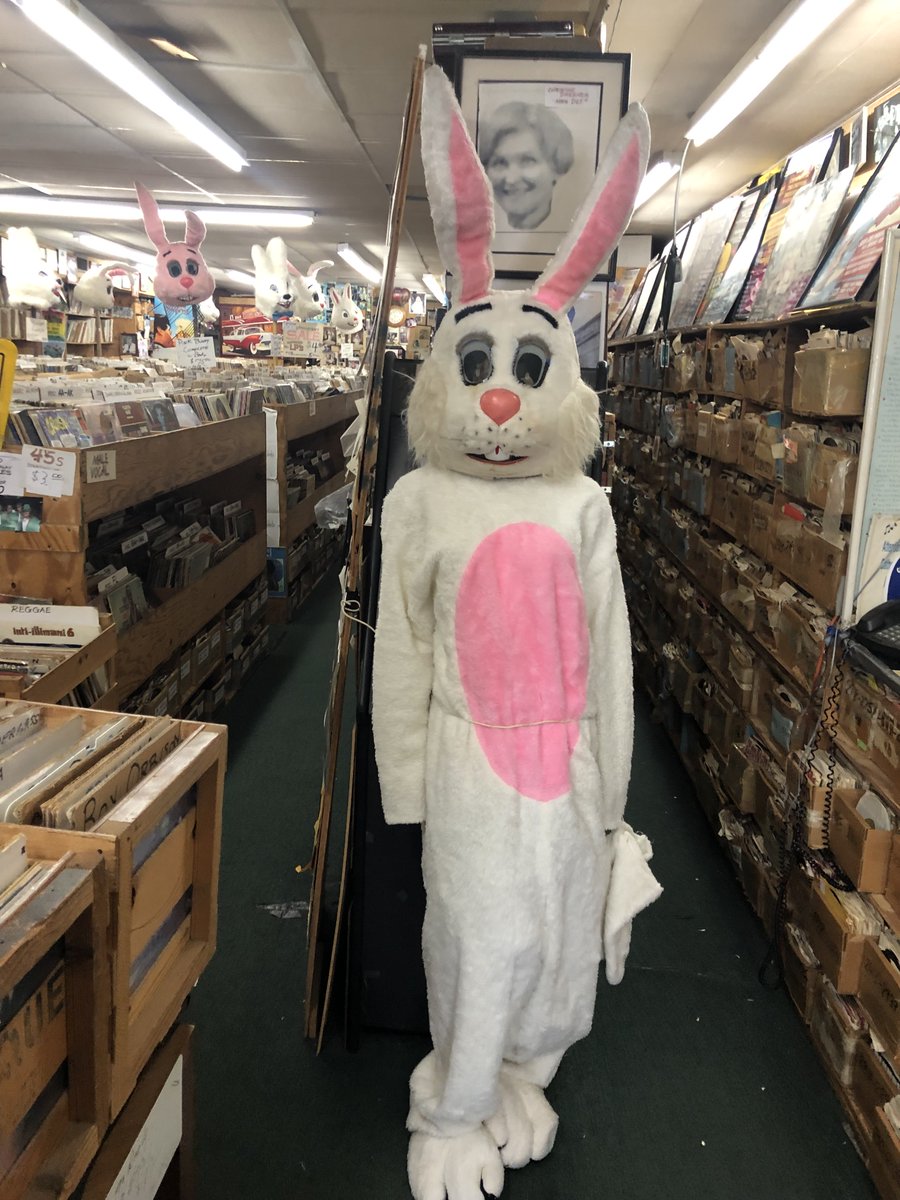 Customer: I am looking for a copy of Van Morrison Astral Weeks Us: Yes we have that Customer: I am also looking for a professional quality Easter bunny suit Us: you are not going to believe this