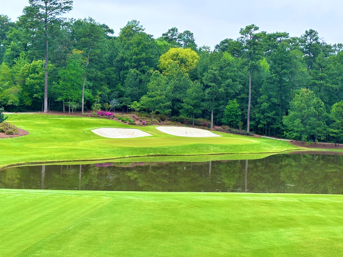 Top100Rick's tweet photo. Bluejack National is known as the happiest place on earth for golfers. 

Tiger Woods first USA design and inspired by Augusta National, this private playground is truly about FUN!

Let’s take a deep dive into a day at Bluejack: https://t.co/Diy76fw1M3