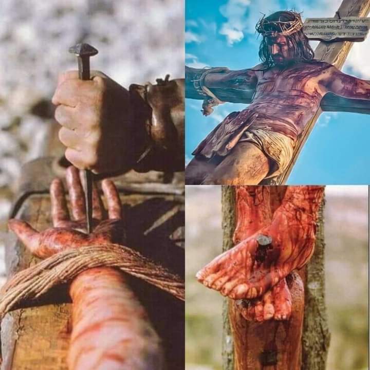 AAmirKh50764293's tweet photo. By His Stripes we are healed.

Isaiah 53:5 https://t.co/NIj3fb97Rb