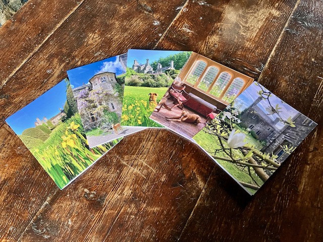 Our five new beautiful Gwydir cards can be bought online at: gwydircastleshop.com/store-test/p/p…