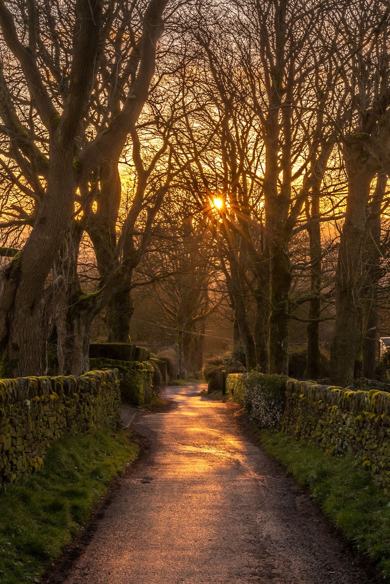 Sunrise. Balcony Farm, Haworth this morning.