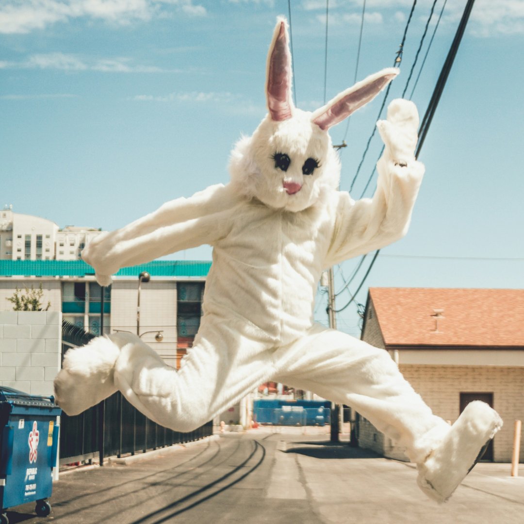 AddictFreeNow's tweet image. Hoppy Easter. Stay safe.