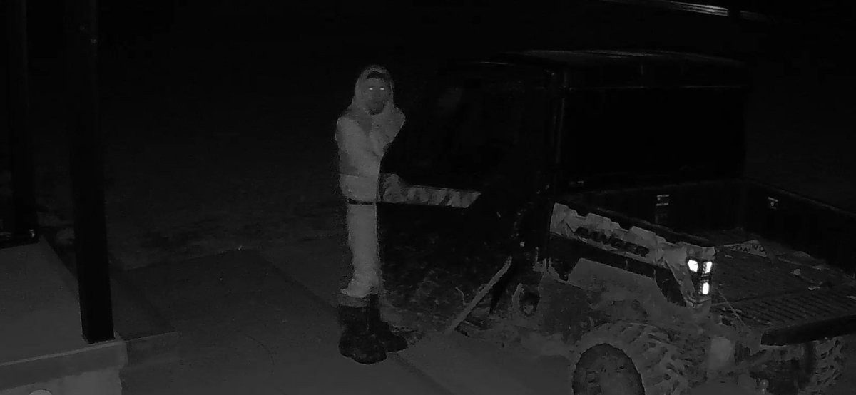 devoellis's tweet image. 2022 Polairs Ranger XP stolen last night from Palmerston by this jambroni.  Please share.