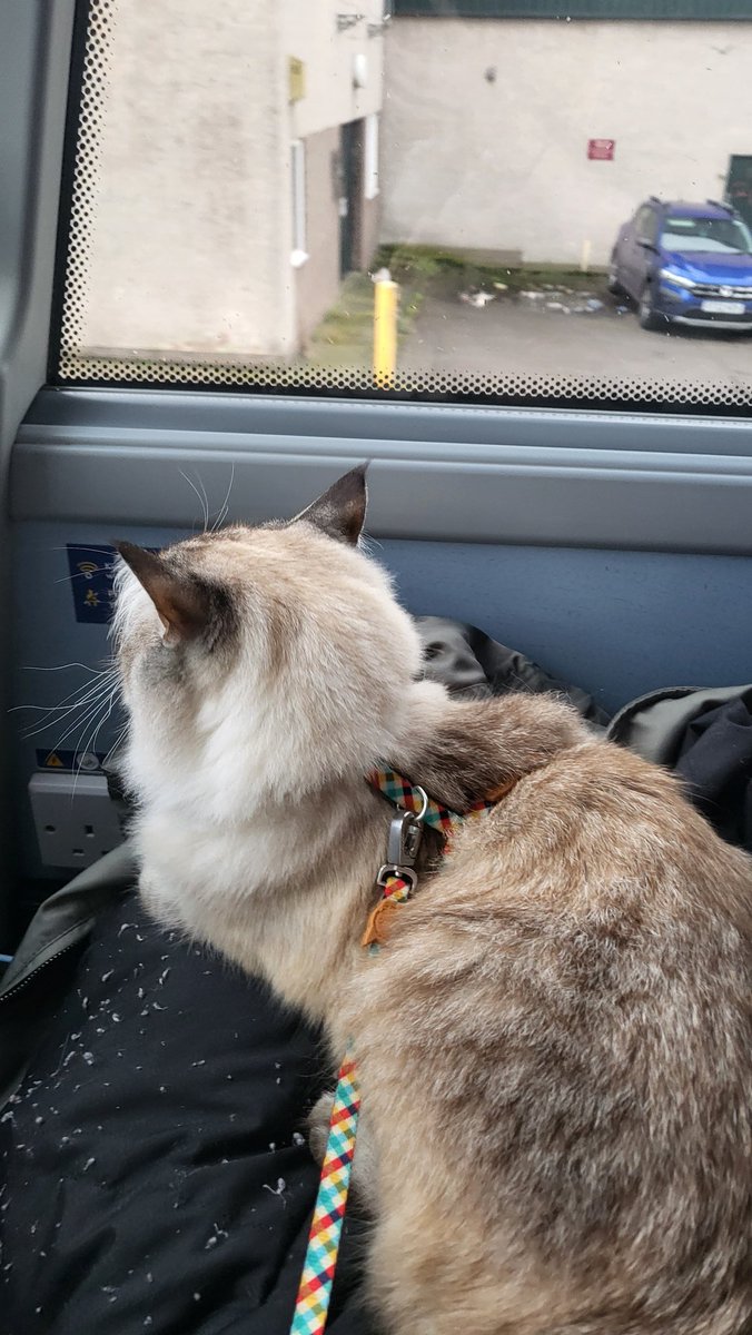 nicinacx's tweet photo. We're going on a trip https://t.co/JFrDwl5r02