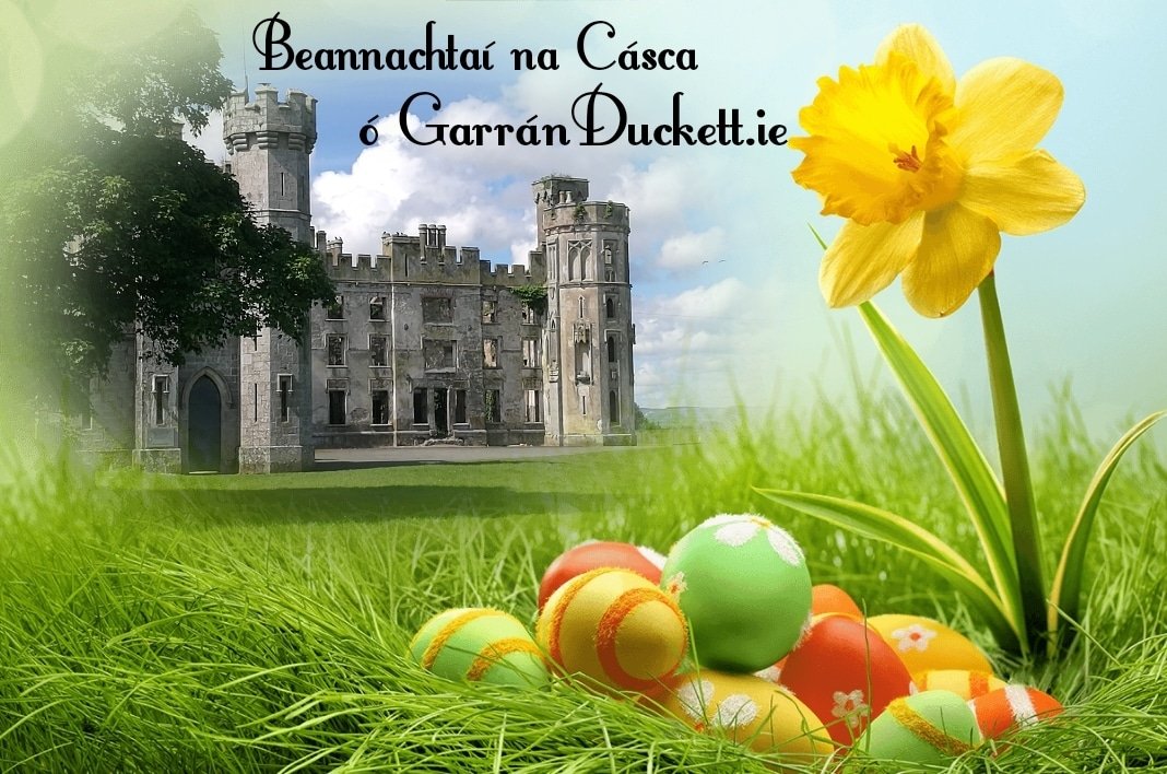 Duckett's Grove tweet media