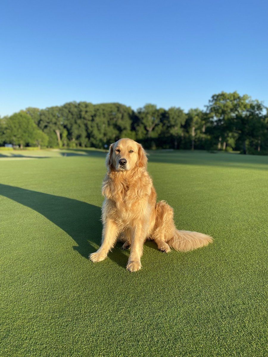 Nathaniel Arndt tweet media