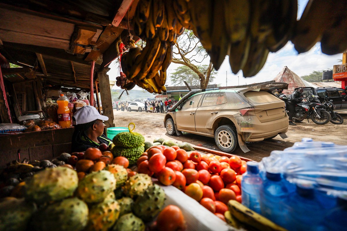 🇰🇪#RallyKenya🇰🇪 SS1️⃣3️⃣ 1. Solberg - 21:39.1 2. GREENSMITH +22.1 3. Kajetanowicz +1:03.1 4. Ciamin +2:21.2 5. Chwist +5:10.8 🎙'Feeling better now. We took the last one easy as we knew it was going to be rough and it made no sense to lose a chunk of time changing a tyre'.