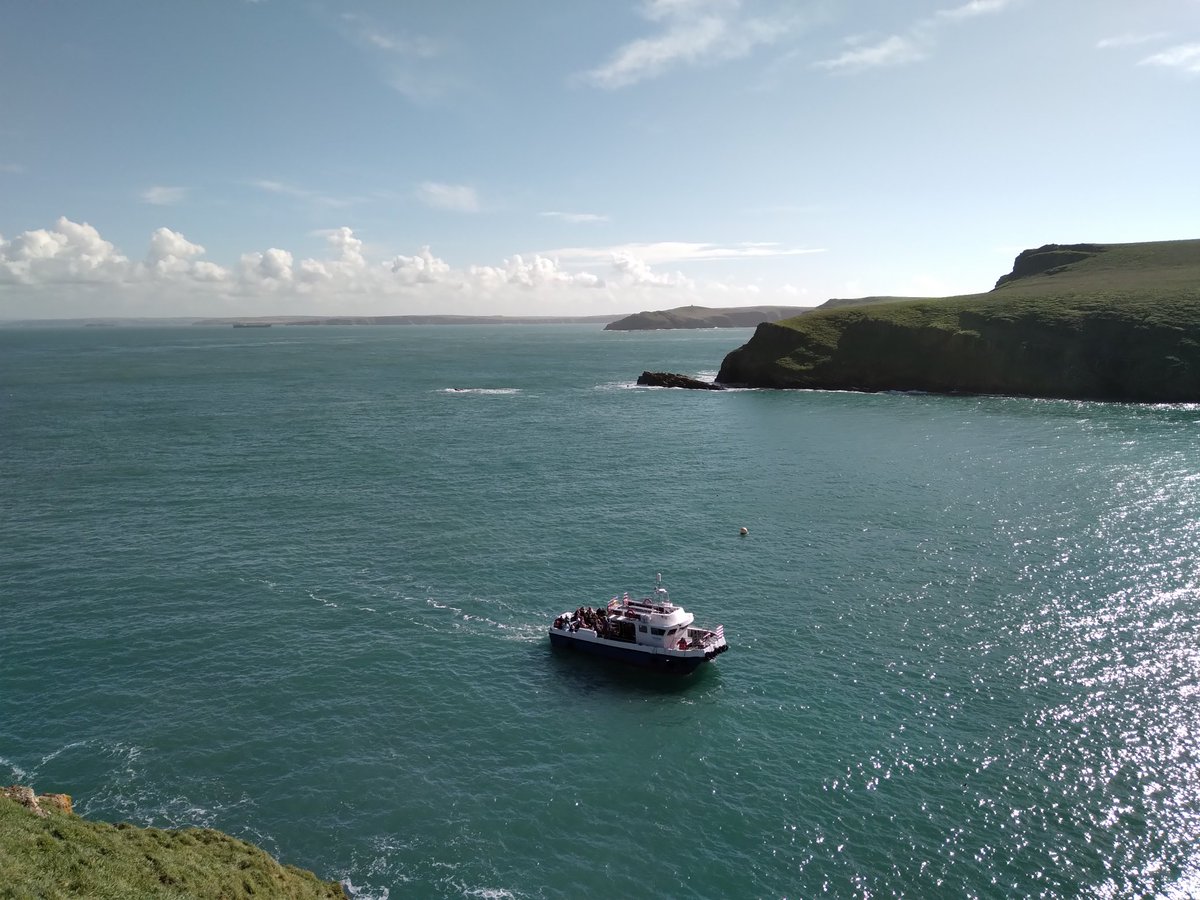 The Dale Queen arrived this morning with our first visitors of 2024 - the season has officially begun! Whilst the Puffins are not a guarantee each day in March and April before they come to land to breed, there were hundreds to greet our visitors in North Haven this morning.