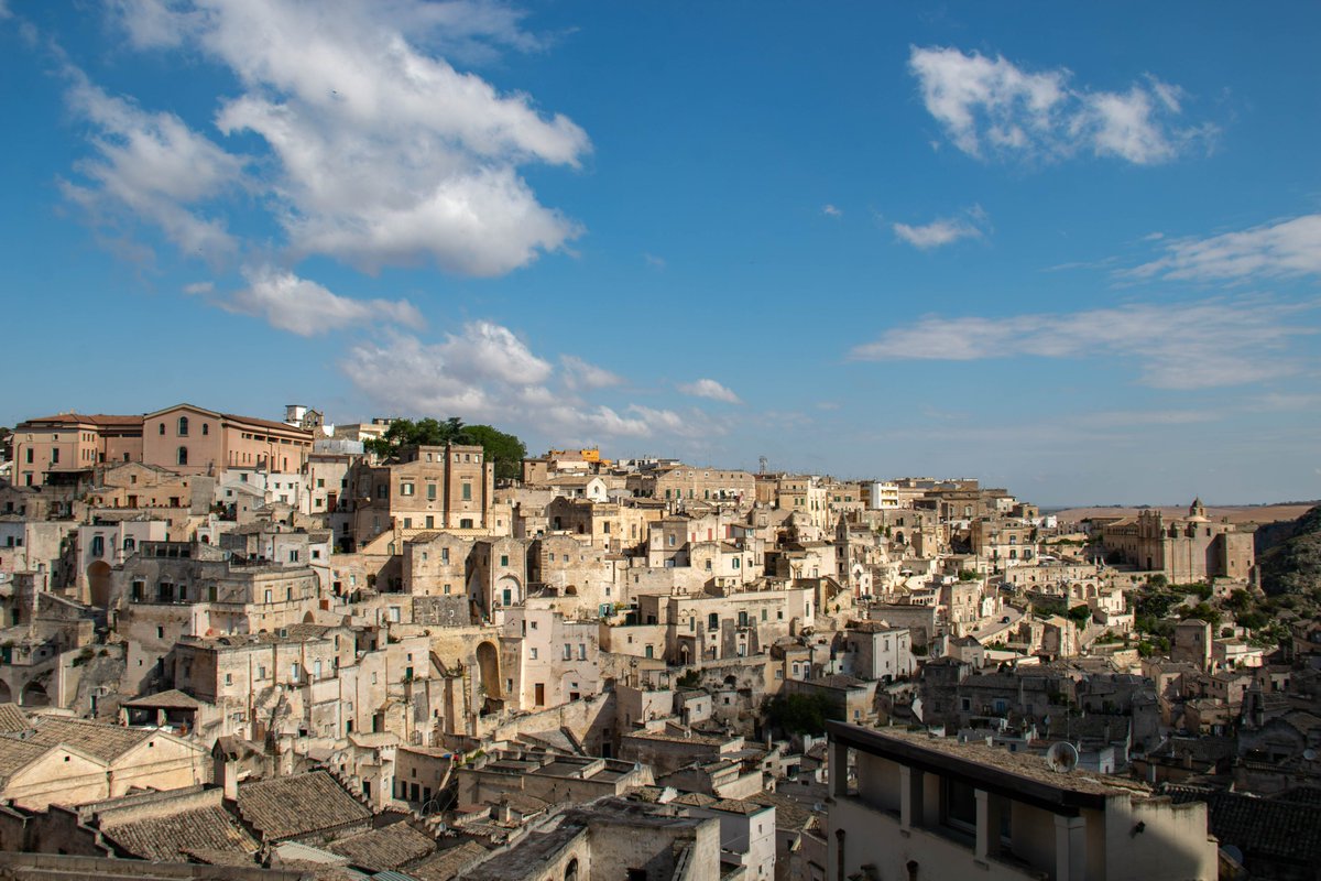 Adrian Golemis tweet media