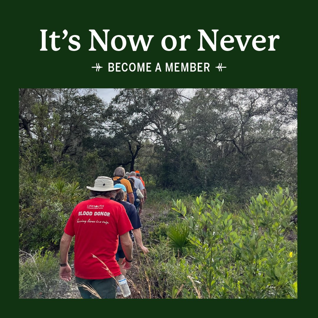 North Florida Land Trust tweet media