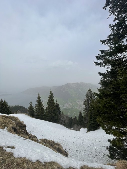 Pretty sceneries from today&rsquo;s hike ☺️✨❤️ https://t.co/wH9iKQkbR5<a href="/tag/selfcare"class="tags"><span>#selfcare</span></a>