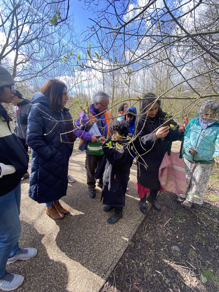 Great day for a guided tree walk . Thanks to the 30 people who joined us . Organised by @edgresfriends and led by Steve from @BhamTreePeople and @BOSFonline , we learnt about bark , buds, and enjoyed the deciduous trees that towered above us. #edgbastonreservoir