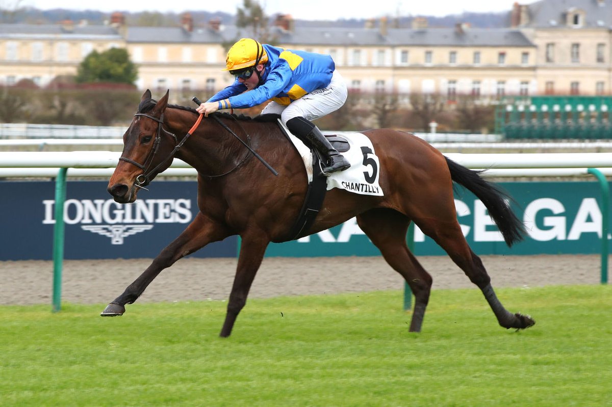 Jour_de_Galop's tweet photo. Pour sa rentrée, SHAKTI (Zarak @AgaKhanStuds) fait impression dans le Prix du Grand Cerf (Classe 2), et met à l'honneur la famille Cyprès, Agnès Jacob et Mathieu Brasme, son entraîneur. Elle était montée par @AugustinMadamet.
📸 @ScoopDyga https://t.co/jPSZ9rD1UU