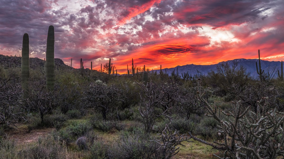 #Sunrise color this AM was a quick hitter. If you weren't up and about you woulda missed this beautiful start to what may be a stormy Easter weekend. Good morning, #Tucson #Arizona <a href="/NWSTucson/">NWS Tucson</a> <a href="/MallorySchnell/">Mallory Schnell</a>  <a href="/sheasorensonwx/">Shea Sorenson</a> <a href="/WaldrefWeather/">Stephanie Waldref</a>