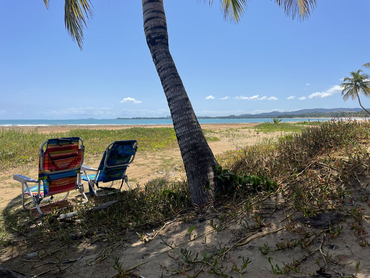 chrisaron's tweet photo. @BrentfordFC @VisitTampaBay Puerto Rico! https://t.co/H4UE97yhLZ