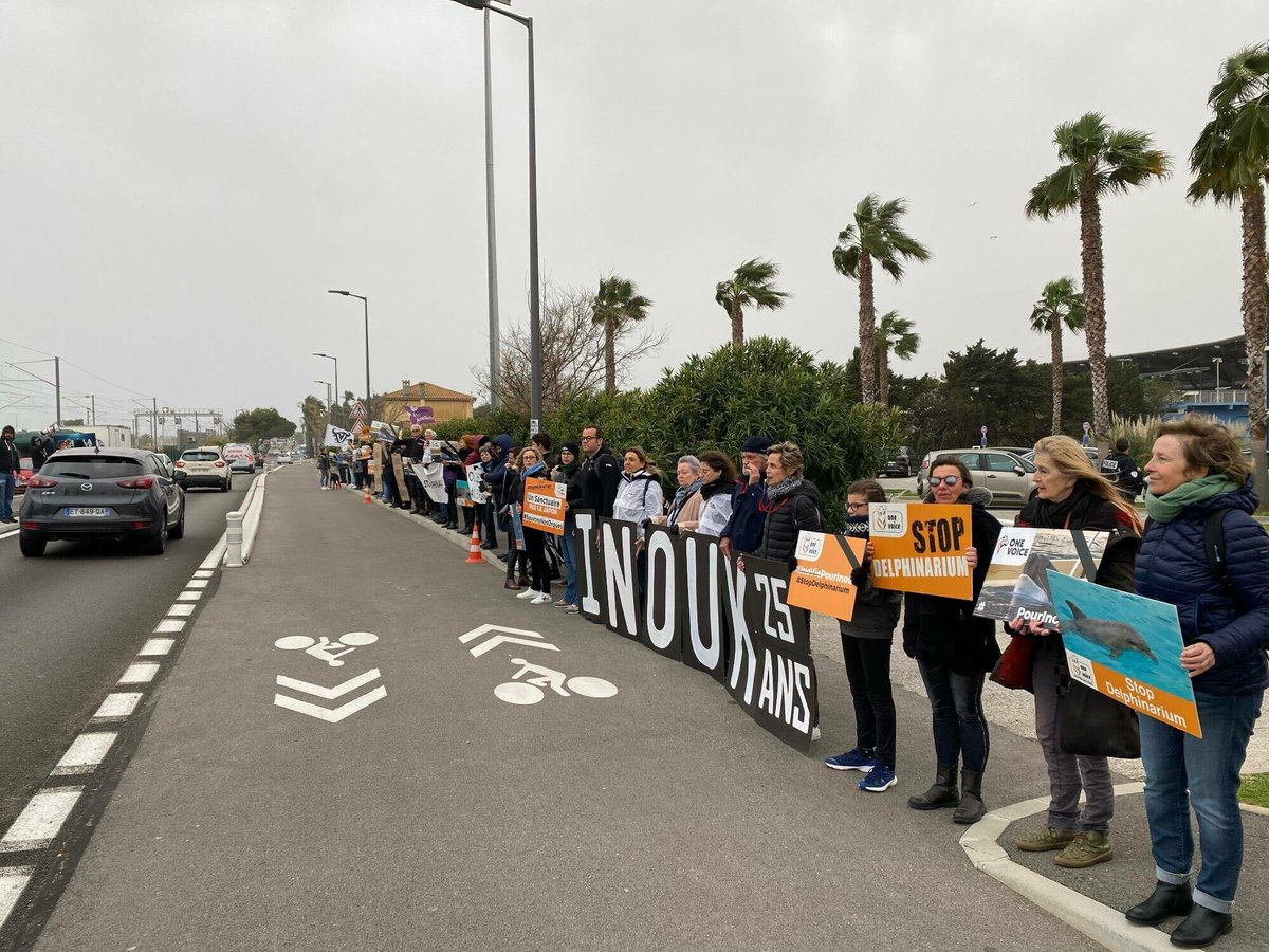 L'association One Voice se rassemble devant Marineland à Antibes en hommage à Inouk
➡️ l.nicematin.com/w9u