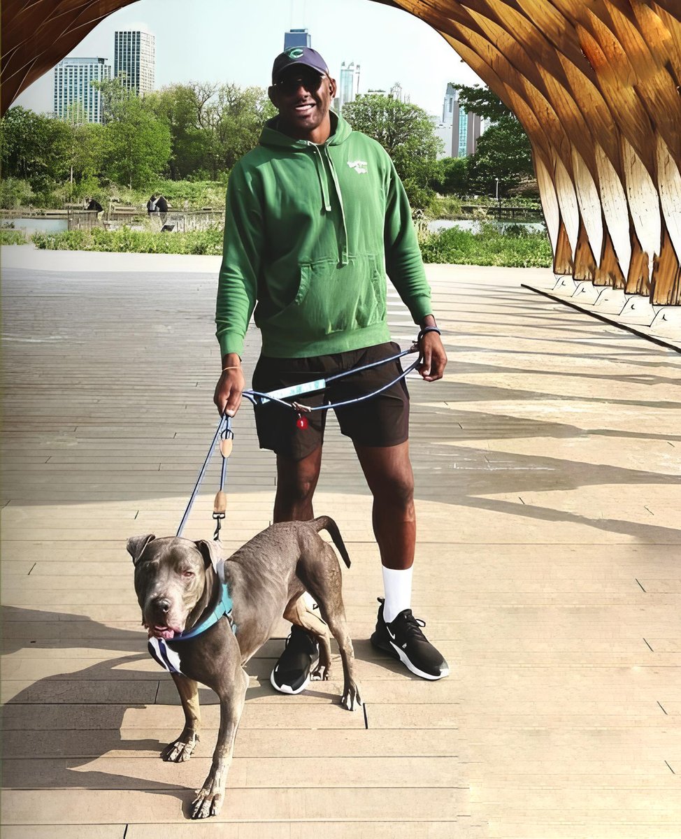 Did you know it is National Walk in the Park Day? 🏞️ 🐕 To celebrate, why don't you stop by our River North Adoption Center and take one of our adoptable dogs to the park through our Dog Day Out program! Learn more by visiting: bit.ly/3TgNtZI.