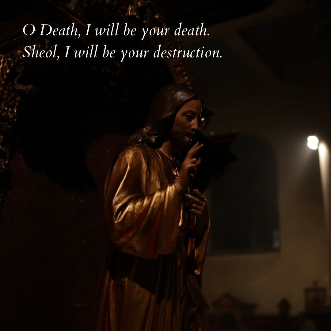 Holy Redeemer EC1 tweet media