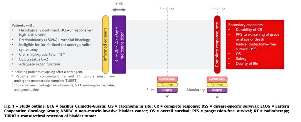 Is Radiotherapy + radiosensetizer a good option for BCG Unresponsive MIBC with Cis? @EORTC ⭐A phase II trial is coming... led by @Achard_Verane @BertrandTOMBAL @dirixpiet @MRoupret and Me. 🙏Please find the protocol here : sciencedirect.com/science/articl…