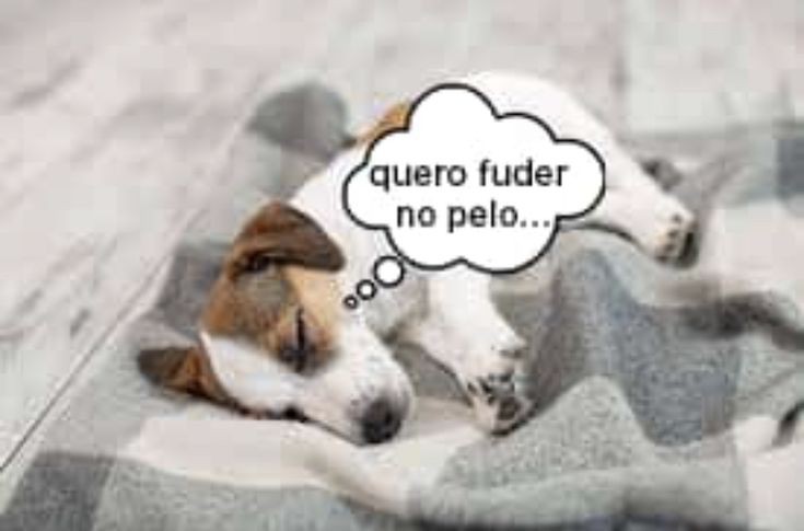 Sistema Único de Saúde (SUS) paródia (@susgovbr) on Twitter photo 