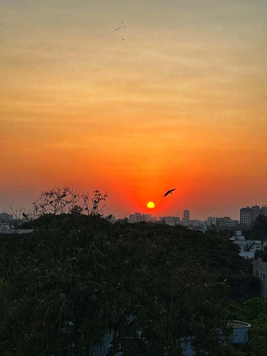 Beautiful sunset making up for the heat in Bangalore this evening.