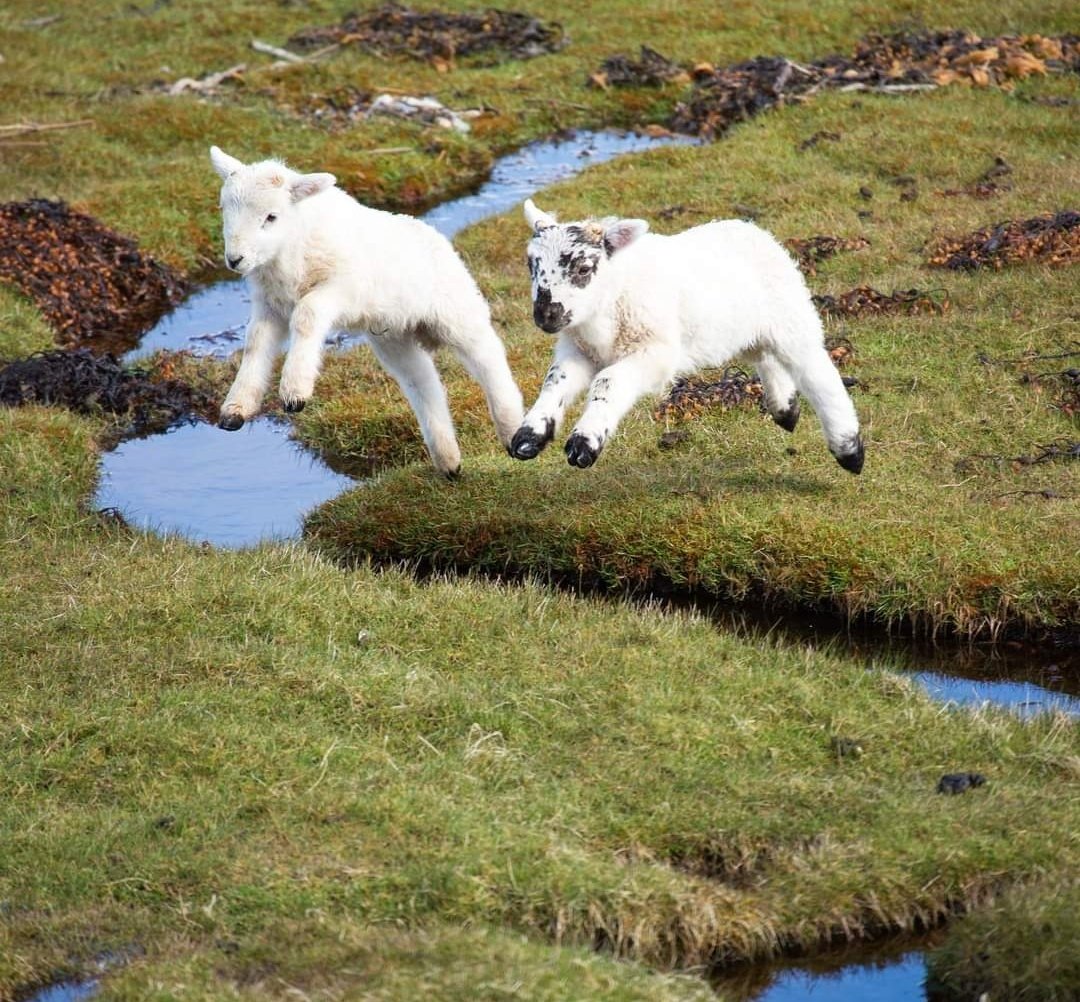 Wishing all of our players, parents, coaches, supporters, and sponsors a very Happy Easter.