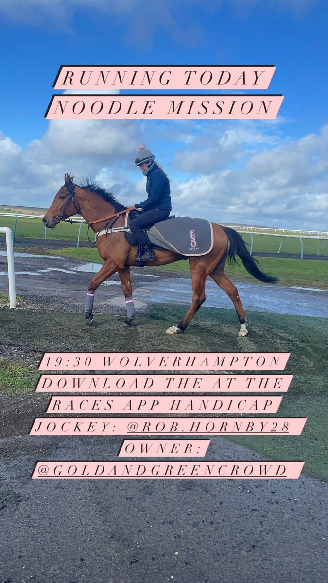 Runner Noodle Mission @WolvesRaces 19:30 Download the At the races app handicap 7f Jockey: @rob_hornby18 Owner: @Crowd_Racing