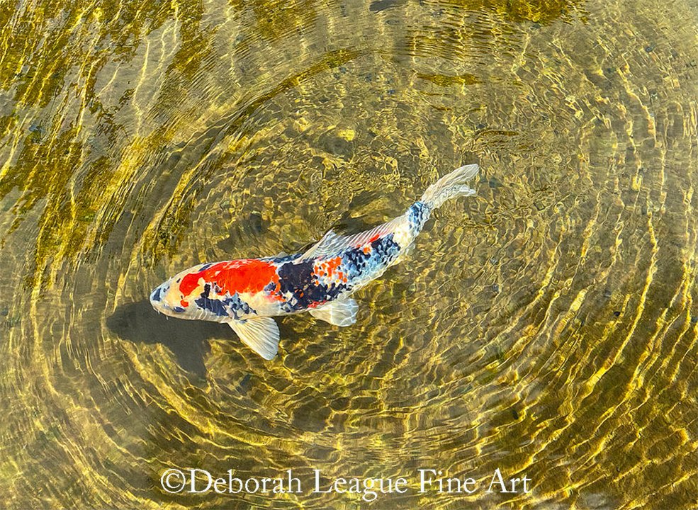 Koi fish #koifish #colorful #wallart #fishart #homedecor #koipond #AYearForArt #art #artwork #koi #fish #photography #naturephotography #buyintoart #koifishart #koilovers #fishlovers #carp #coastalart #colorfulkoi #giftideas #goodvibes #goldencircle

ART - deborah-league.pixels.com/featured/color…