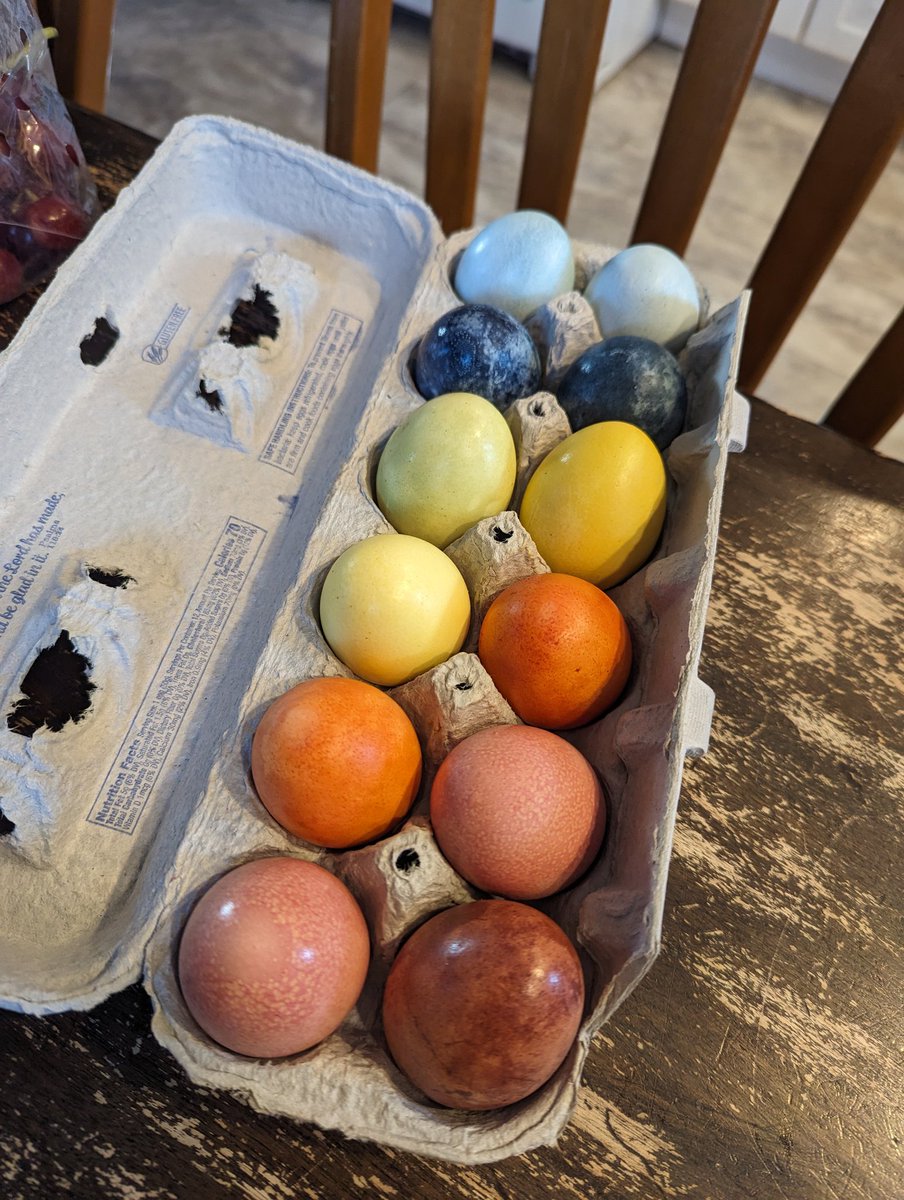 Naturally dyed eggs. Ever see posts about this and wonder how they really turn out? Well here you go! Black tea, red and yellow onion skins, purple cabbage, hibiscus, tumeric, beets... Pretty cool!