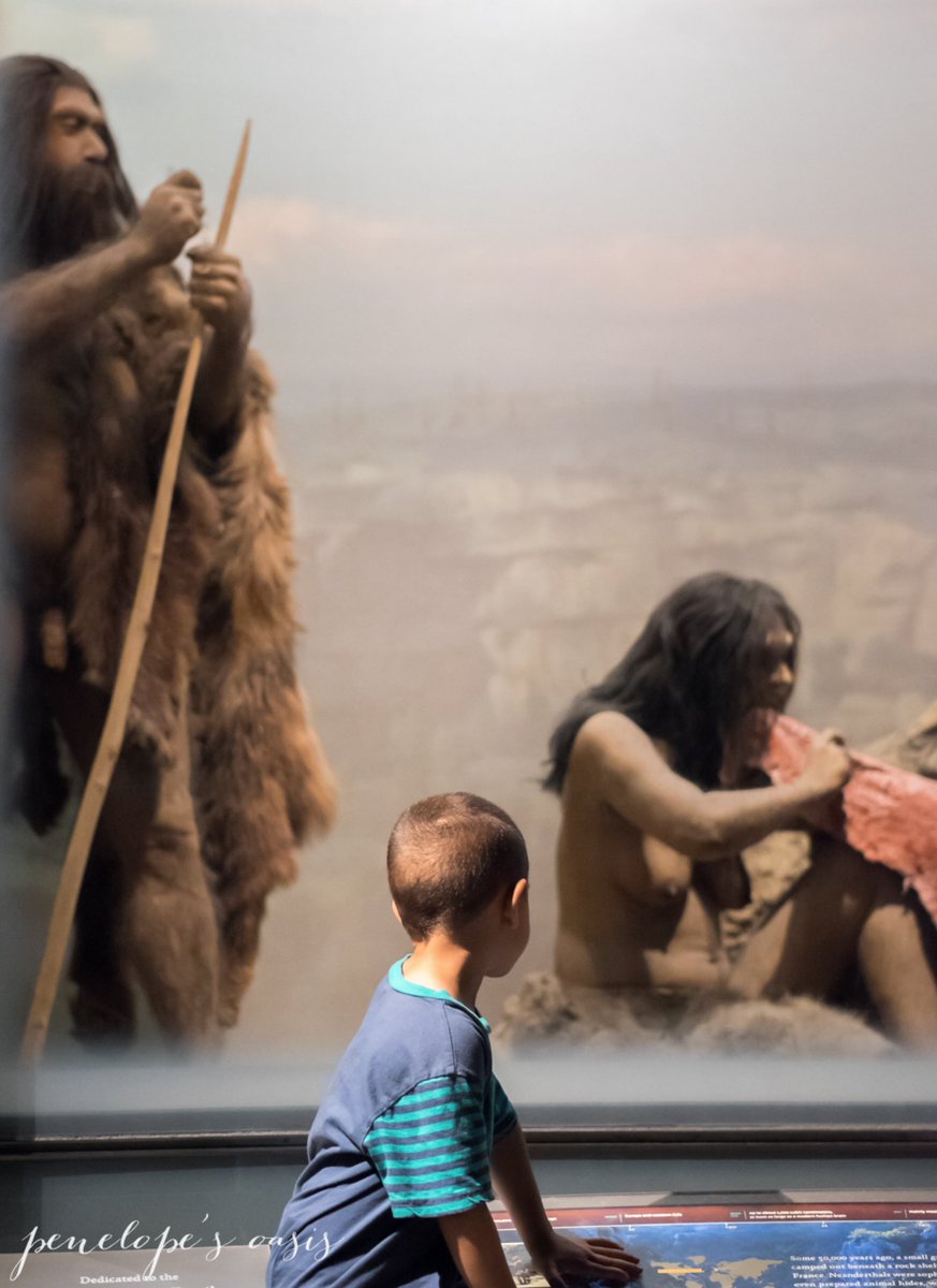 Penelope tweet media