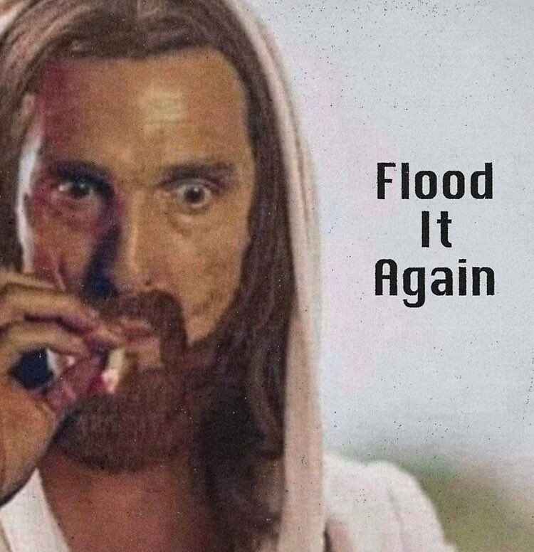 MostlyPeaceful's tweet image. 