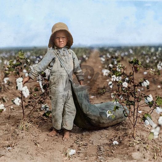 🇺🇸🇺🇸🇺🇸

5-year old Harold Walker picks 20 to 25 pounds of cotton a day. Oklahoma, 1916.

#Whiteprivilege