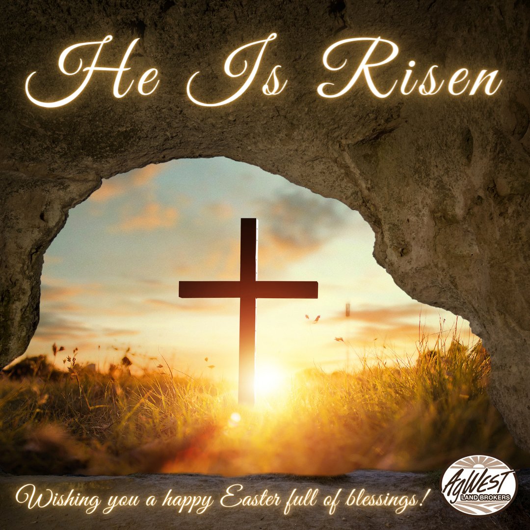 As we embrace this season of hope, we extend our heartfelt wishes to you and your loved ones for a joyous Easter!

#easter #agwestlandbrokers #HeIsRisen #easterblessings✝️