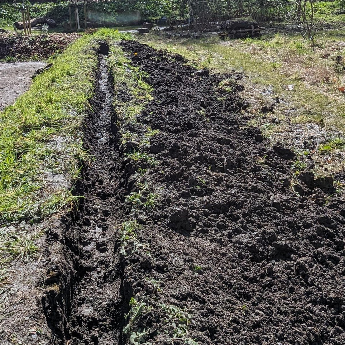 Look at the start, middle & end result. @DofE @DofEWales  #DofE young people had done this morning helping again at the #raisedvegbed #communitygarden #betwspark #parcybetws. pumpkins marrow squash @HeartWalesLine @Keep_Wales_Tidy @HeritageFundUK @WelshGovernment @SFarms_Gardens