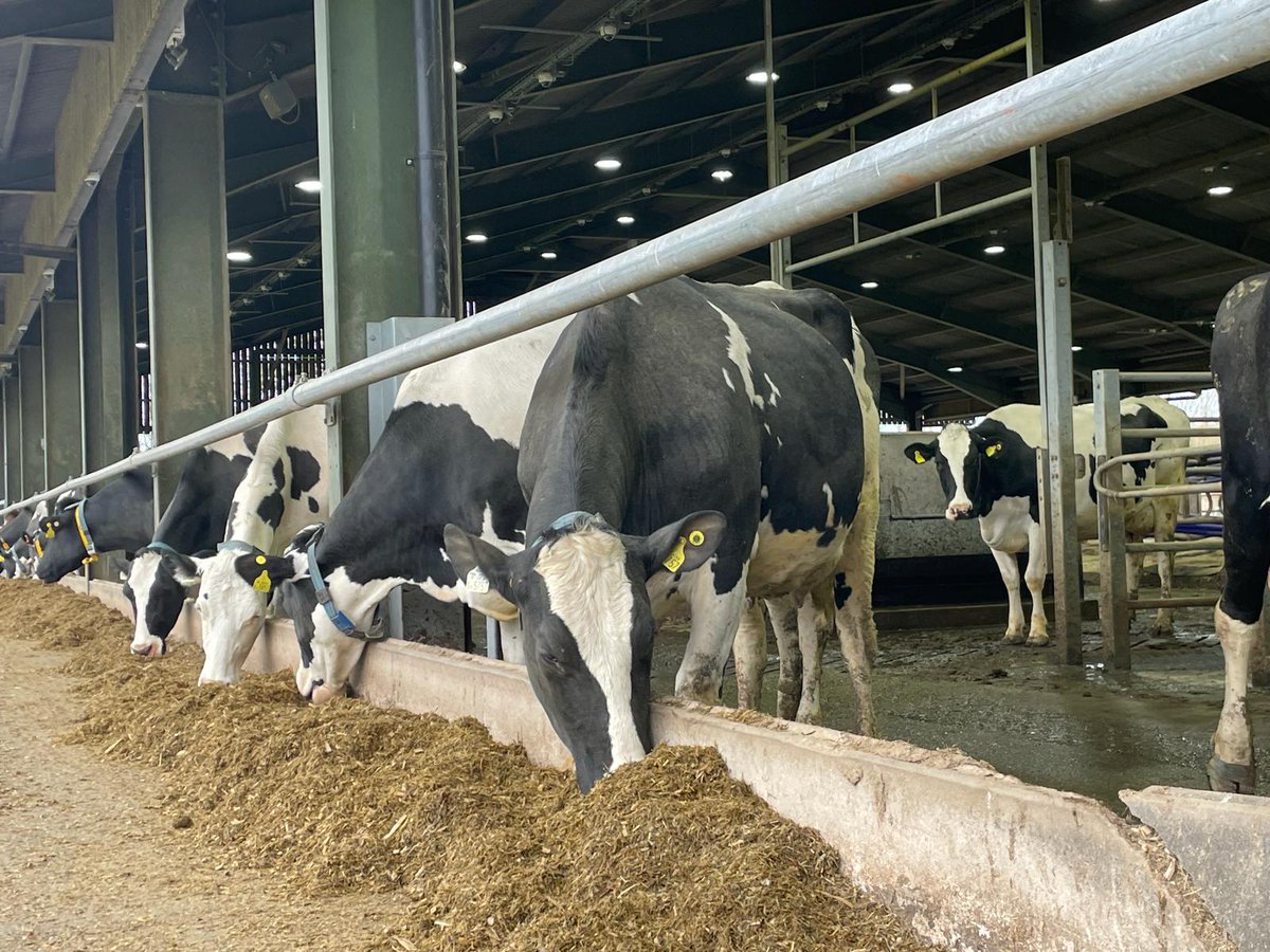 Don’t forget, Pulse Oxidation Dairy (POd), our retro-fit CIP for existing automated &amp; conventional milking systems is now eligible for Defra’s FETF productivity grant offer available until to 17 April. Minimum funding available £15,000 (50% of £30,000). 
oxitechsolutions.com/pulse-oxidatio…