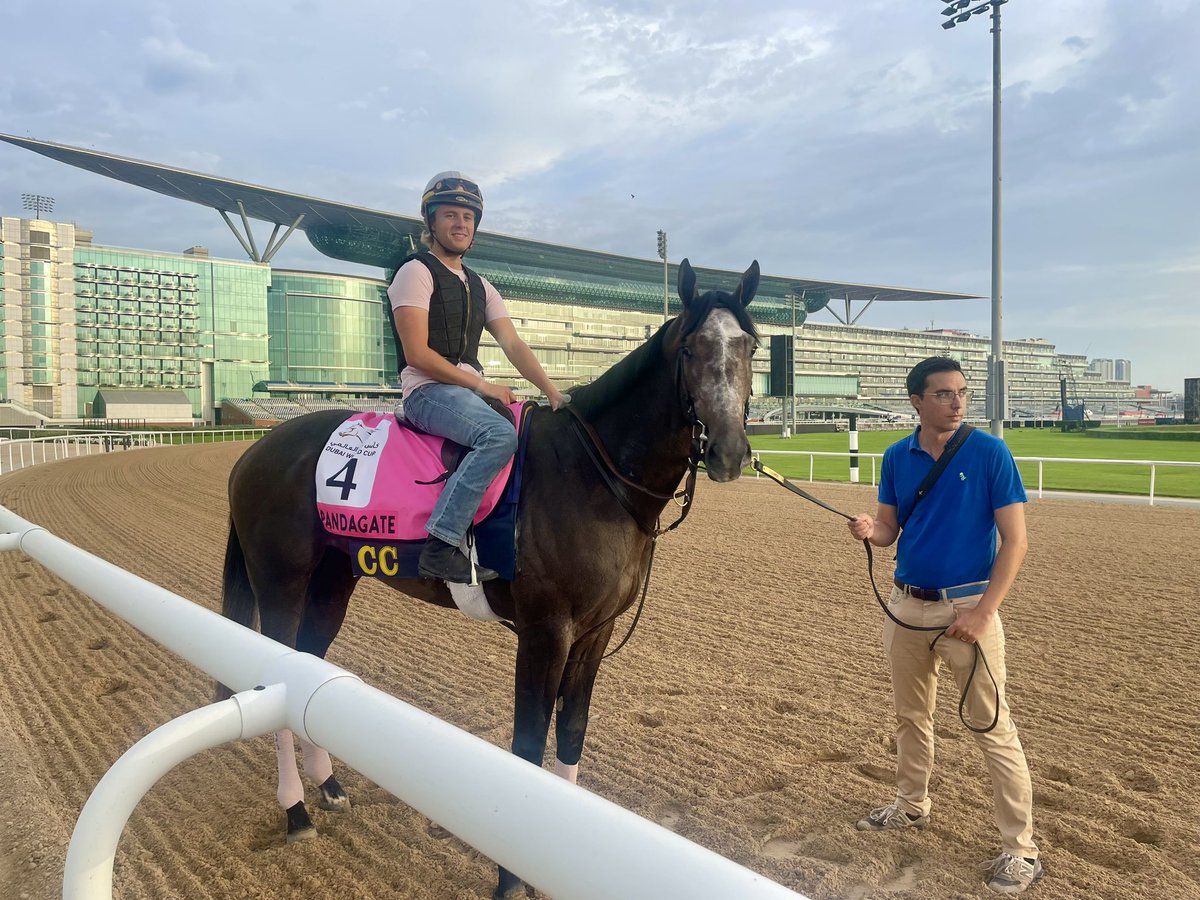 We are so proud of PANDAGATE, who just ran 3rd in the G2 UAE Derby @RacingDubai. We are looking forward to a fun second half of the year with him! @AdelphiClub @MadaketStables @StritsmanLucas @OnTheRiseAgain @DavisJockey