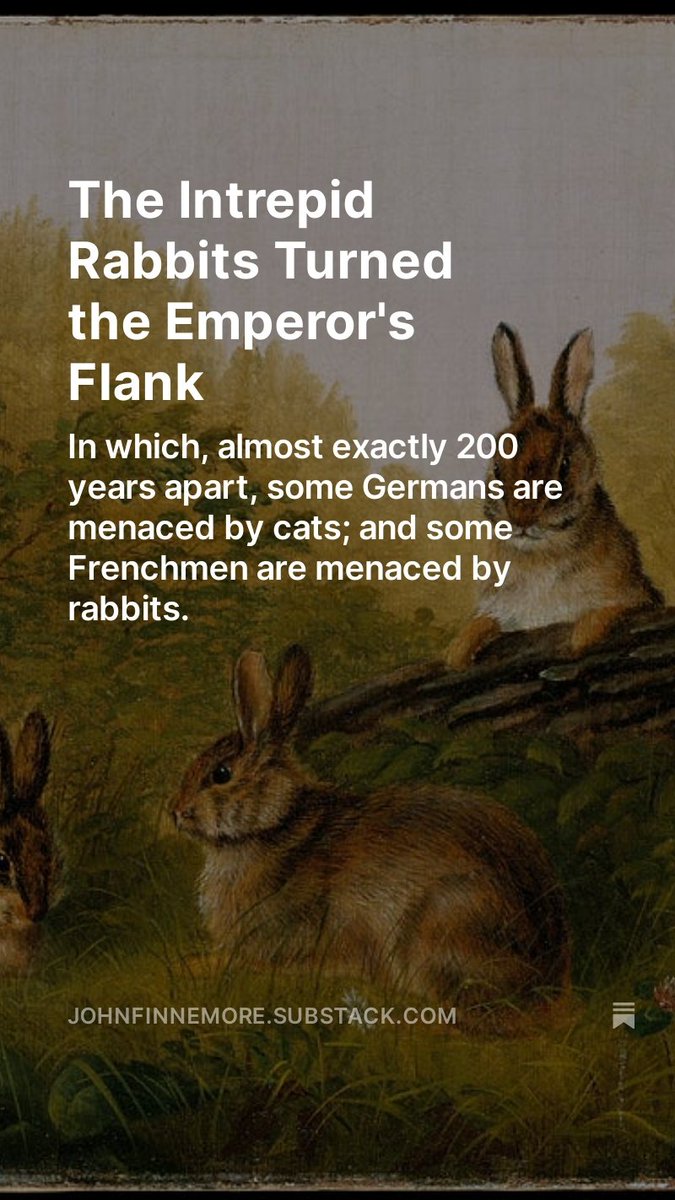 The Intrepid Rabbits Turned the Emperor's Flank johnfinnemore.substack.com/p/the-intrepid…