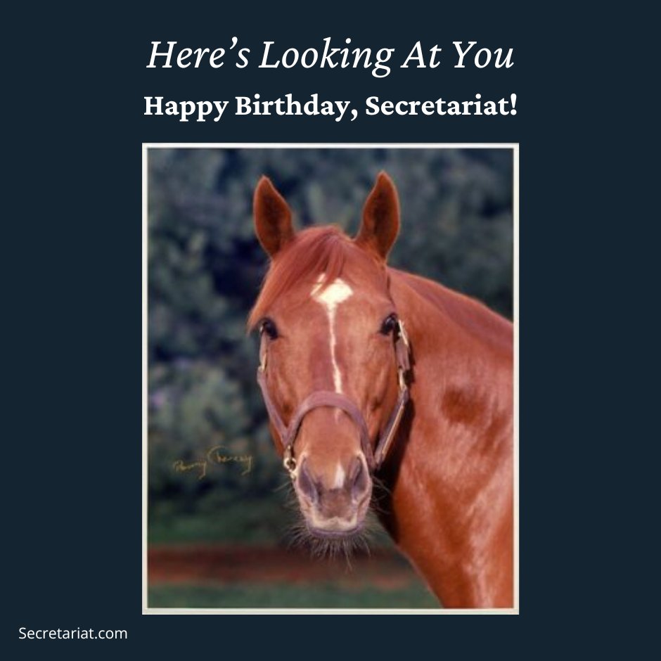 It was shortly after midnight on March 30, 1970 that a big red colt with three white stockings was born to the 18-year-old mare Somethingroyal (by Princequillo) at The Meadow in Caroline County, Virginia. The colt, sired by Bold Ruler, would be named Secretariat.
#BornOnThisDay