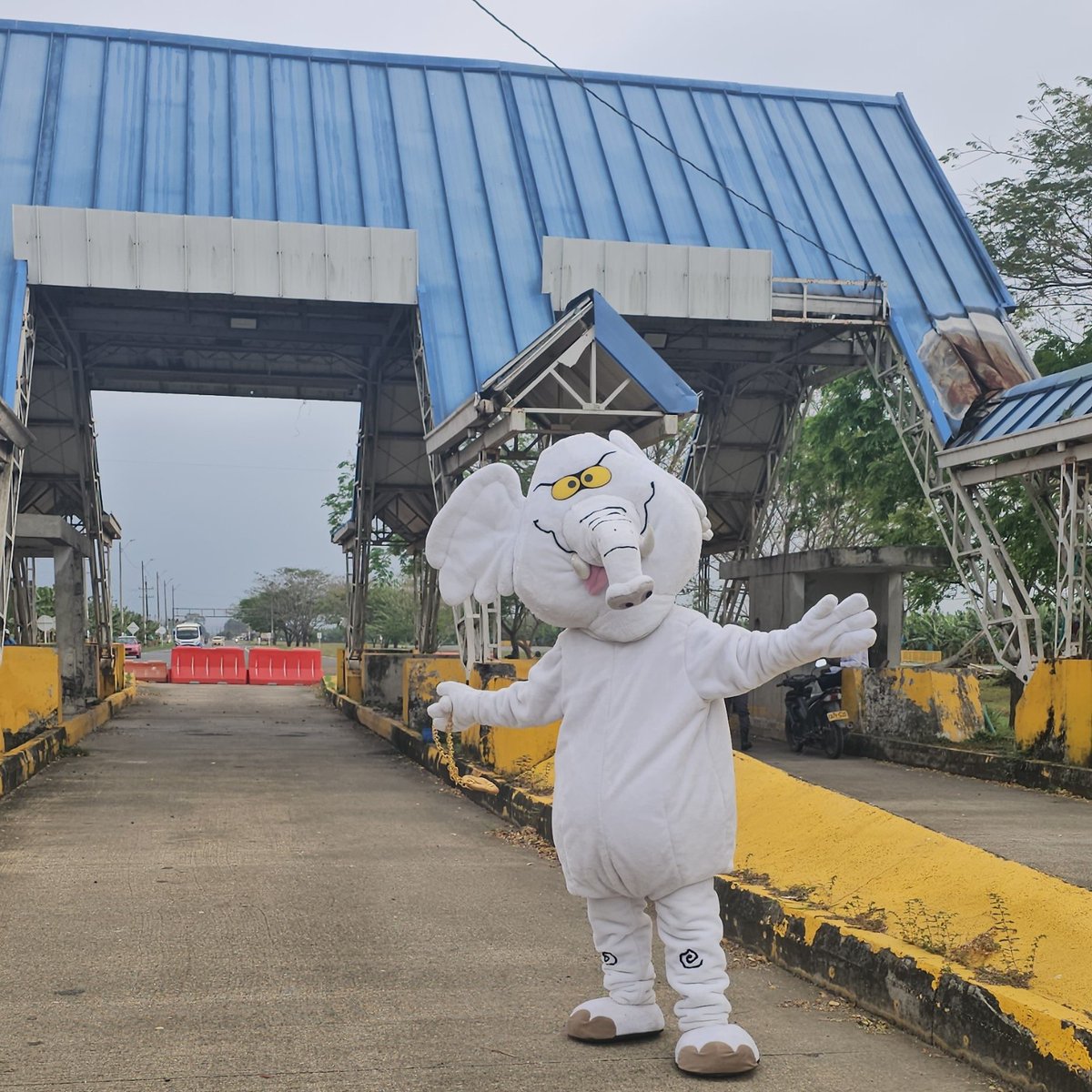 Elefante Blanco tweet media