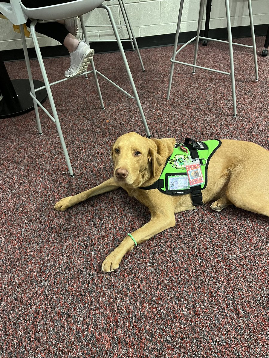 Beth Fowler tweet media