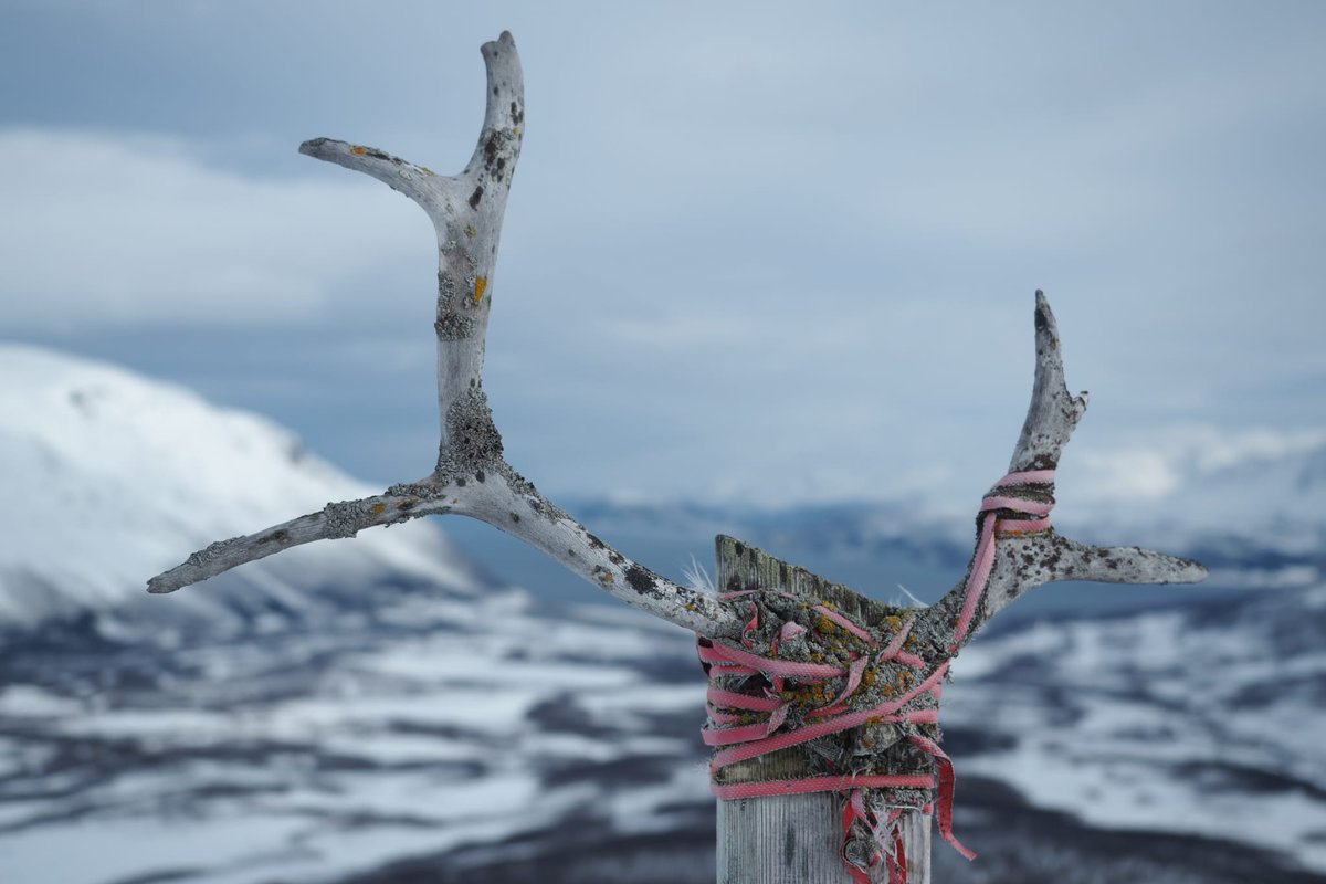 🏴‍☠️Manel Raval 1-O II*II 🇸🇳🇯🇲🎸🍉🍄☠️🥷👽💣 tweet media