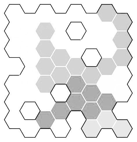 🌈 Els Aerts 🎙️ tweet media