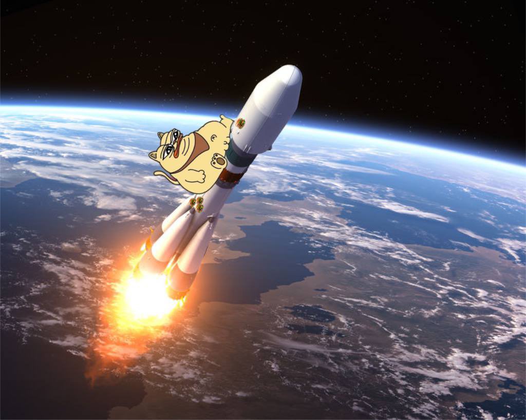 There are a few tickets left before the $Chonky Apollo 24 mission, now or never bro!