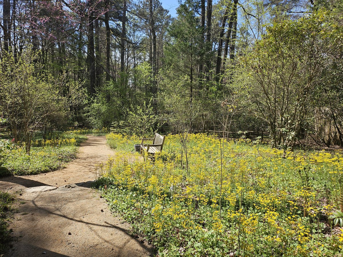 Beautiful day amidst wildflowers at @NCBotGarden