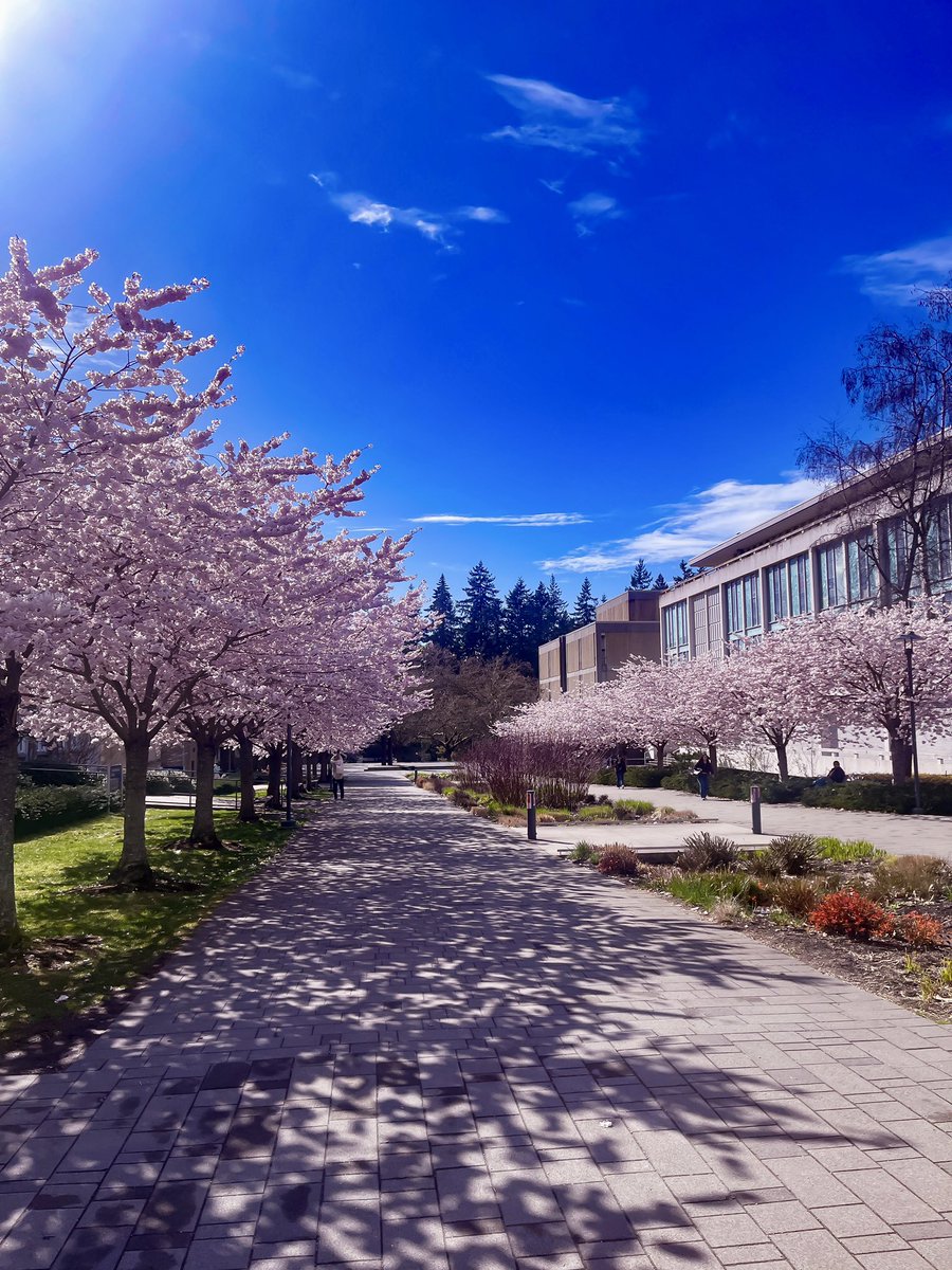 Spring is a season of new beginning, freshness and hope. Glad to share a few photos taken during a walk around the #UBC campus. May your spring be filled with promise. #health #education #MedEd #leadership @UBCmedicine