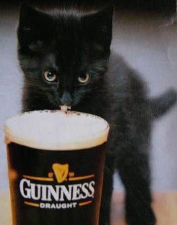MarilynMarriott's tweet photo. Milkey way or something more like #Beer hope?!!! #Fünf #NFT #Österreich #EasterFest https://t.co/3tbgpwlKTB