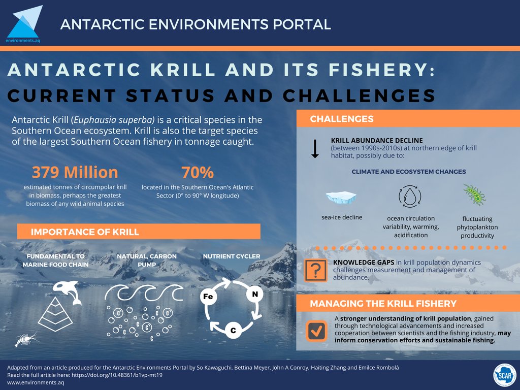 Krill are tiny crustaceans that play a HUGE role in Antarctica but they face threats from overfishing and climate change. Their decline could ripple through ecosystems. Check out this krill-tastic infographic from @SCAR_Tweets to learn more!