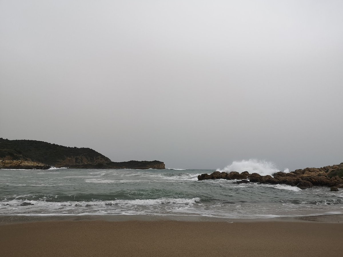 #amaremare Sardegna #sardinia #sealovers #sealife #sea